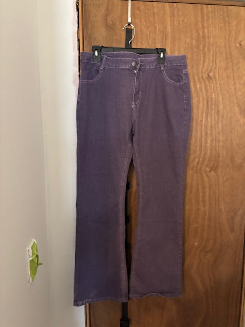 Purple Jeans – Size 16 (Brand New)